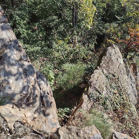 布兰肯堡"Kleinstes Haus Von Blankenburg" Urlaub In Einem Einzigartigen Baudenkmal别墅 外观 照片