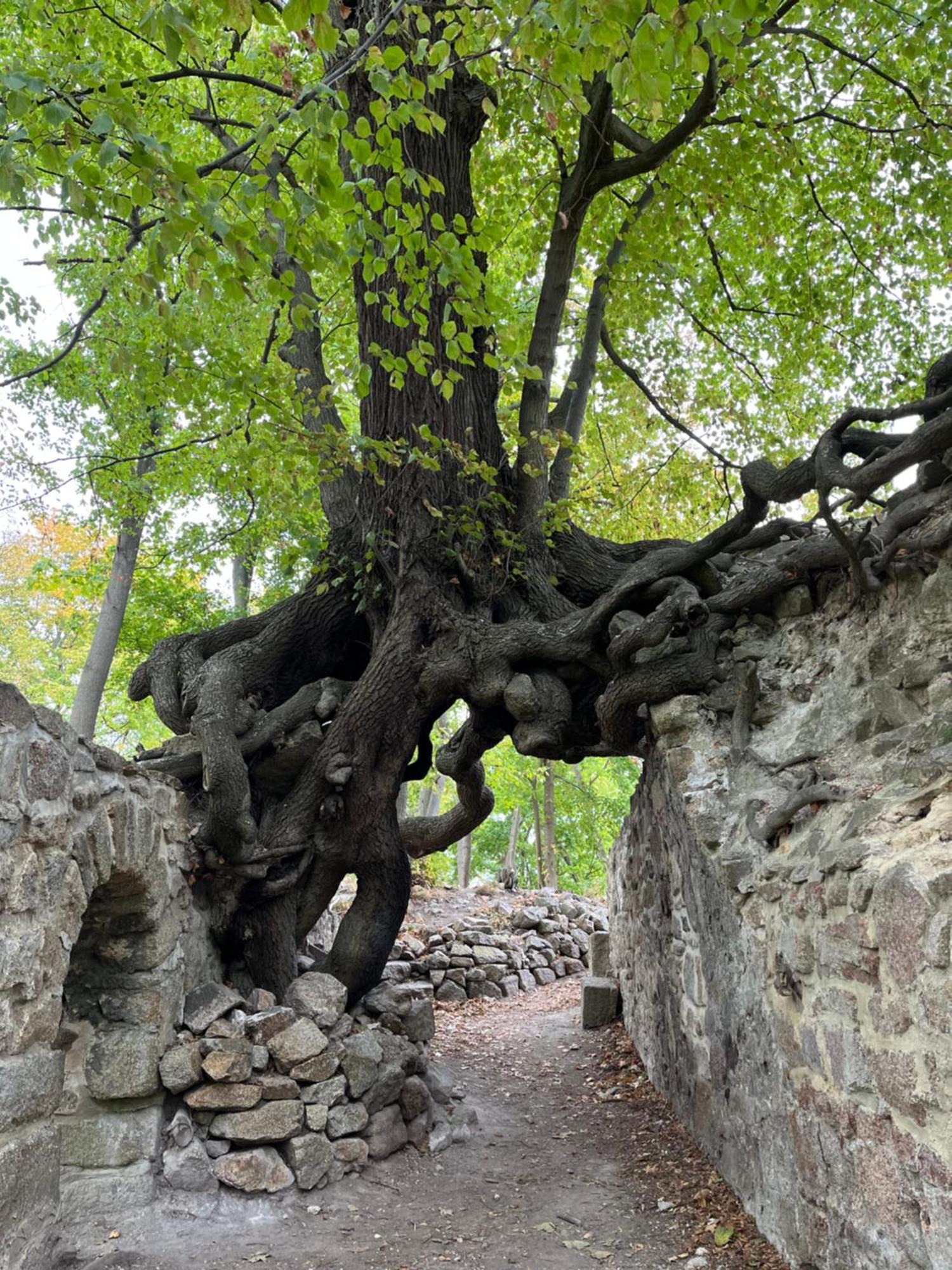 布兰肯堡"Kleinstes Haus Von Blankenburg" Urlaub In Einem Einzigartigen Baudenkmal别墅 外观 照片